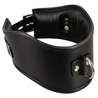 Bad Kitty - bőrhatású nyakörv karikával (fekete) 74696 termék bemutató kép