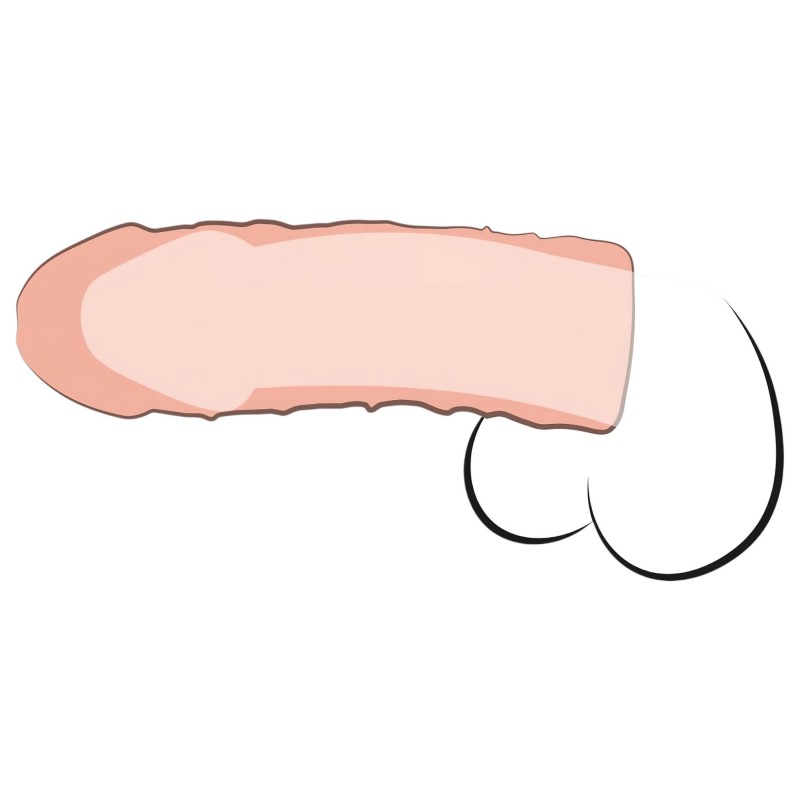 X-TENSION Perfect 1 - élethű péniszköpeny (17,7 cm) - natúr 131521 termék bemutató kép